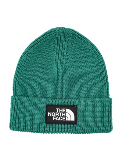 The North Face Cuffed Beanie With Logo Box Design In Green
