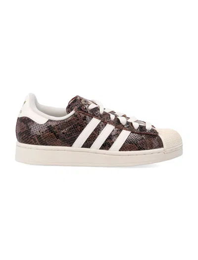 Adidas Originals Adidas Superstar Ii Sneakers In Brown