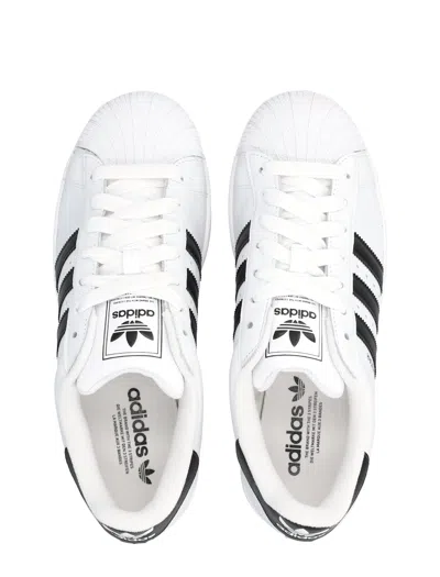 Adidas Originals Superstar In White