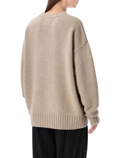 Extreme Cashmere Long-sleeve Crew-neck Sweater In Brown