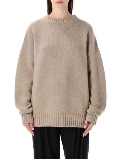 Extreme Cashmere Long-sleeve Crew-neck Sweater In Brown
