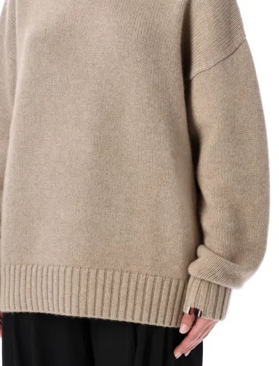 Extreme Cashmere Long-sleeve Crew-neck Sweater In Brown