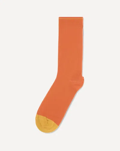 Bonne Maison Two-tone Cotton Socks In Orange