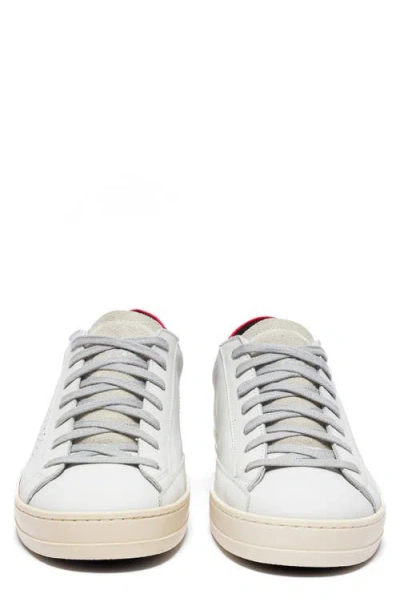 P448 John Sneaker In Multi