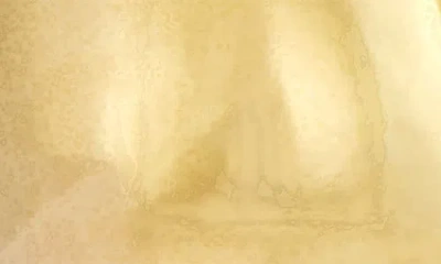 Savvy Cie Jewels 18k Yellow Gold Plated Over Sterling Silver .925 Tiny Rain Drop Earring In Gold