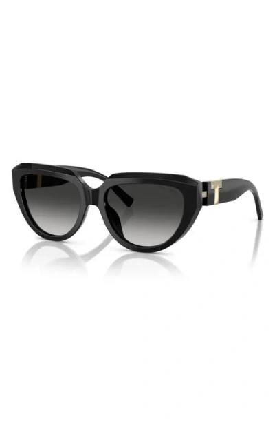 Tiffany & Co . 55mm Gradient Pillow Sunglasses In Black