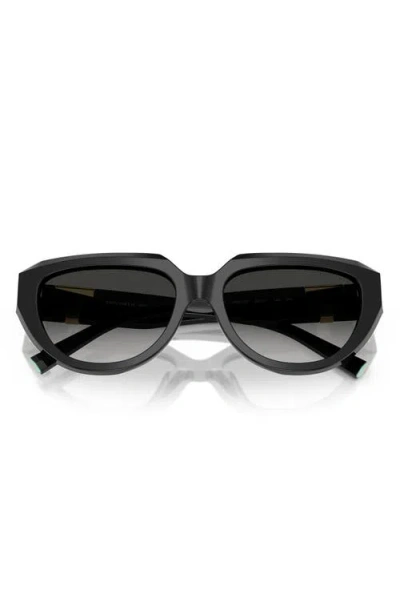 Tiffany & Co . 55mm Gradient Pillow Sunglasses In Black