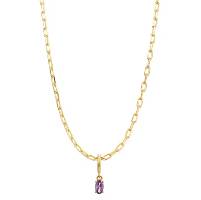 Gold Trip Women's Gold / Purple February Birthstone Necklace In Gold In Gold