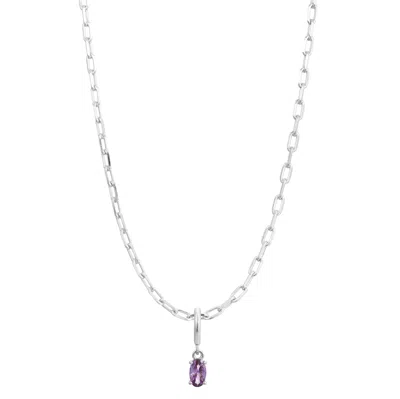 Gold Trip Women's Purple / Silver February Birthstone Necklace In Silver In Silver