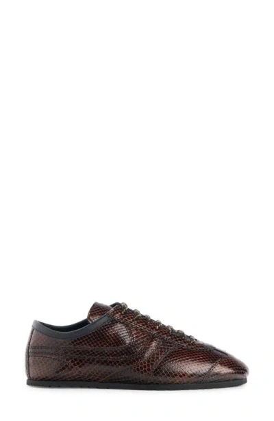 Dries Van Noten Lizard Embossed Sneaker In Multi