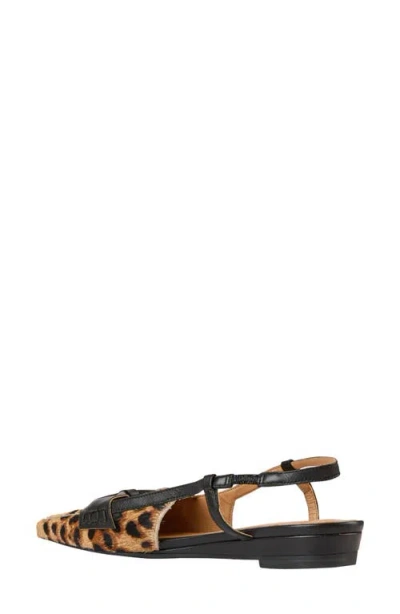 Andre Assous Blake Loafer In Brown