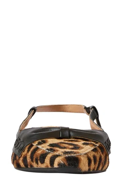 Andre Assous Blake Loafer In Brown