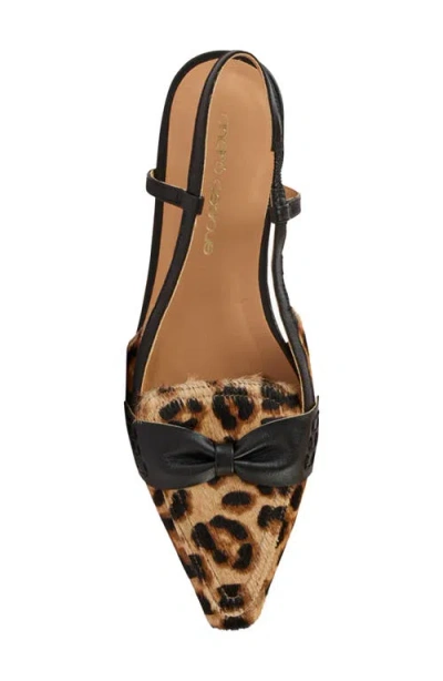 Andre Assous Blake Loafer In Brown