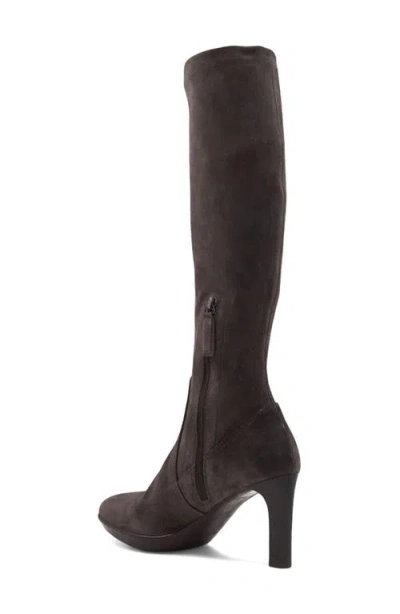 Aquatalia Rhumba Weatherproof Knee High Boot In Brown