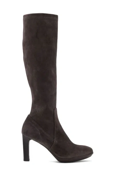 Aquatalia Rhumba Weatherproof Knee High Boot In Brown