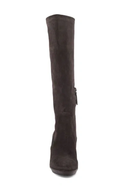 Aquatalia Rhumba Weatherproof Knee High Boot In Brown