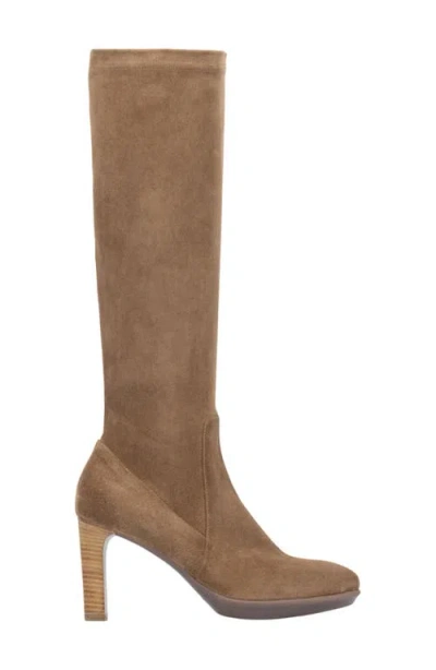 Aquatalia Rhumba Weatherproof Knee High Boot In Brown