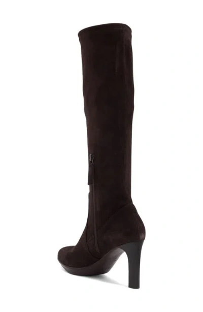 Aquatalia Rhumba Weatherproof Knee High Boot In Brown