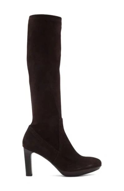 Aquatalia Rhumba Weatherproof Knee High Boot In Brown