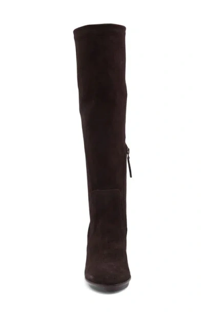 Aquatalia Rhumba Weatherproof Knee High Boot In Brown