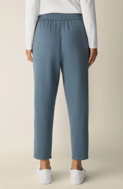 Eileen Fisher Cozy Brushed Terry Hug Jogger Pant In Blue