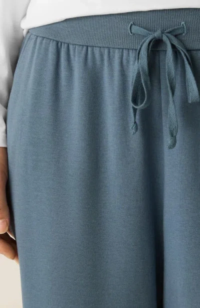 Eileen Fisher Cozy Brushed Terry Hug Jogger Pant In Blue