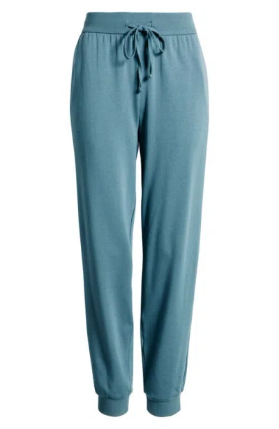 Eileen Fisher Cozy Brushed Terry Hug Jogger Pant In Blue