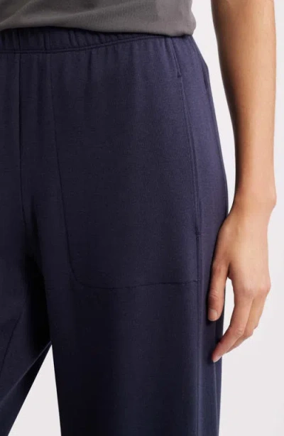 Eileen Fisher Cozy Brushed Terry Straight Pants In Blue