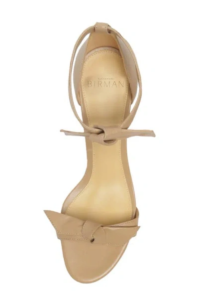 Alexandre Birman Clarita Block Heel Sandal In Nude