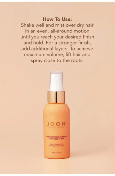 Joon Styling Ritual Hair Set $58 Value In Transparent