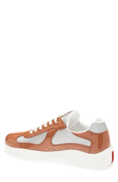Prada America's Cup Sneaker In Multi