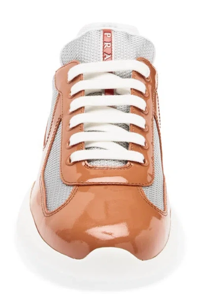 Prada America's Cup Sneaker In Multi