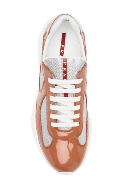 Prada America's Cup Sneaker In Multi