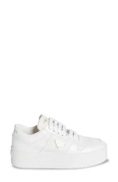 Prada Downtown Bold Leather Sneakers In White