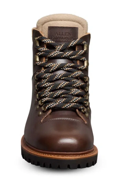 Allen Edmonds Whistler Waterproof Hiker Boot In Brown