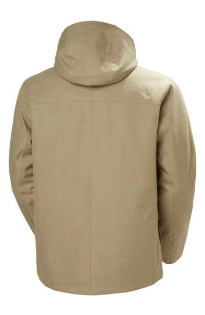 Helly Hansen Chill 3.0 Hooded Jacket In Brown