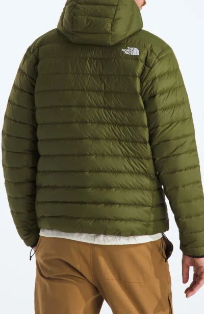 The North Face Men's Classic Down Hooded Jacket In Green