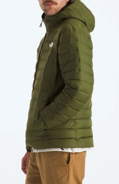 The North Face Men's Classic Down Hooded Jacket In Green