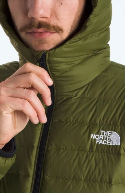 The North Face Men's Classic Down Hooded Jacket In Green