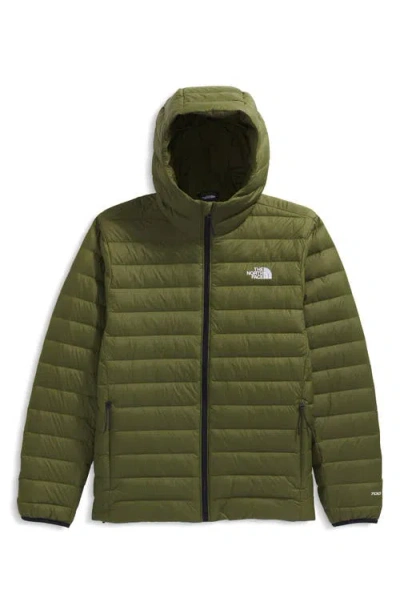 The North Face Men's Classic Down Hooded Jacket In Green