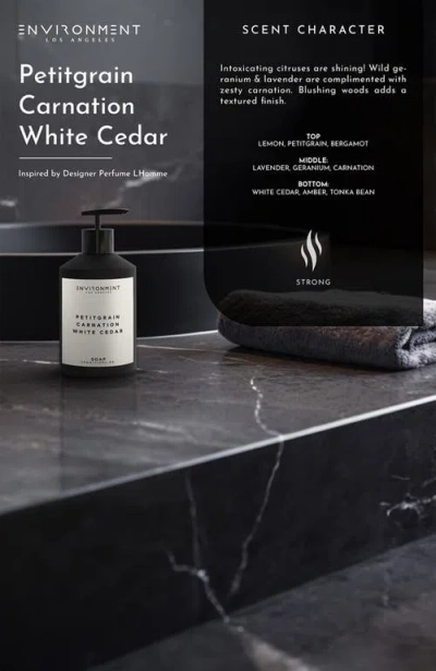 Environment Inspired By Designer Perfume Hand Soap