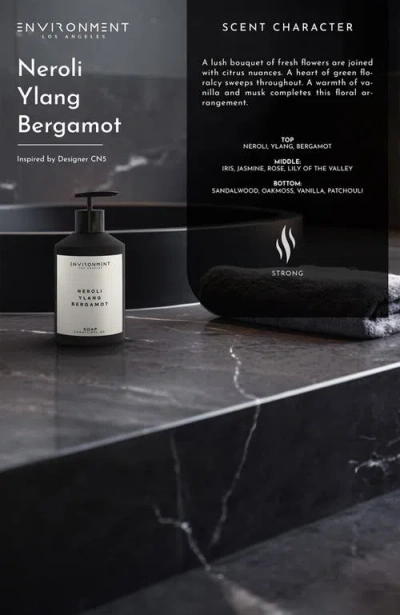 Environment Inspired By Designer Perfume Hand Soap