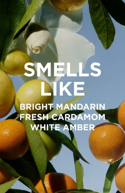 By Rosie Jane Remi Eau De Parfum In Transparent