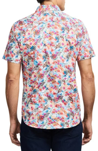 Robert Graham Escape Short Sleeve Button-up Shirt In Multi