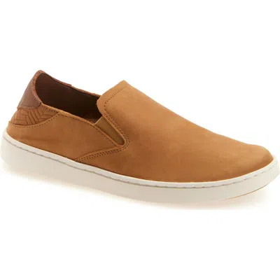 Olukai Pehuea Slip-on Sneaker In Multi