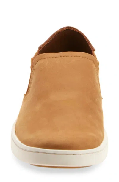 Olukai Pehuea Slip-on Sneaker In Multi