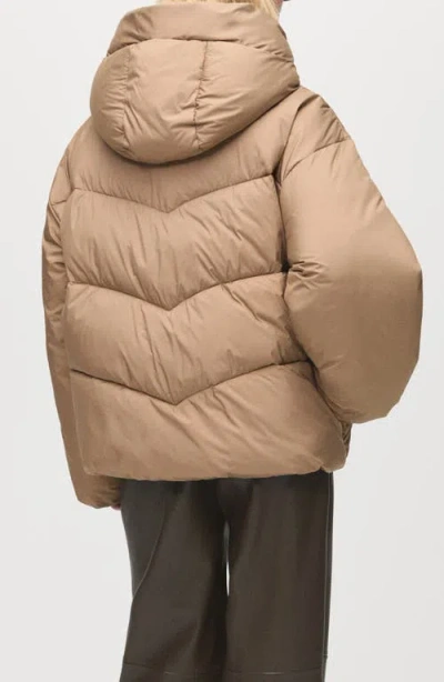 Mango Women's Short Oversized Hooded Anorak Coat In Brown