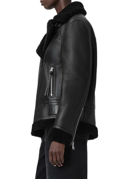 Allsaints Sola Oversize Genuine Shearling Biker Jacket In Black