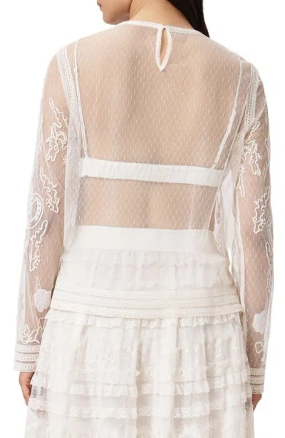 Allsaints Arlea Embroidered Sheer Mesh Top In Black