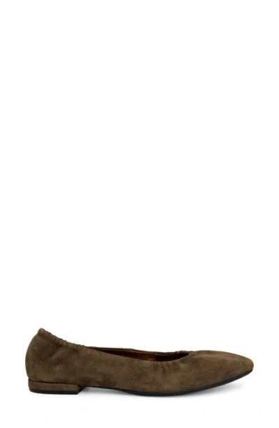 Aerosoles Women's Antonia Dress Flat In Multi